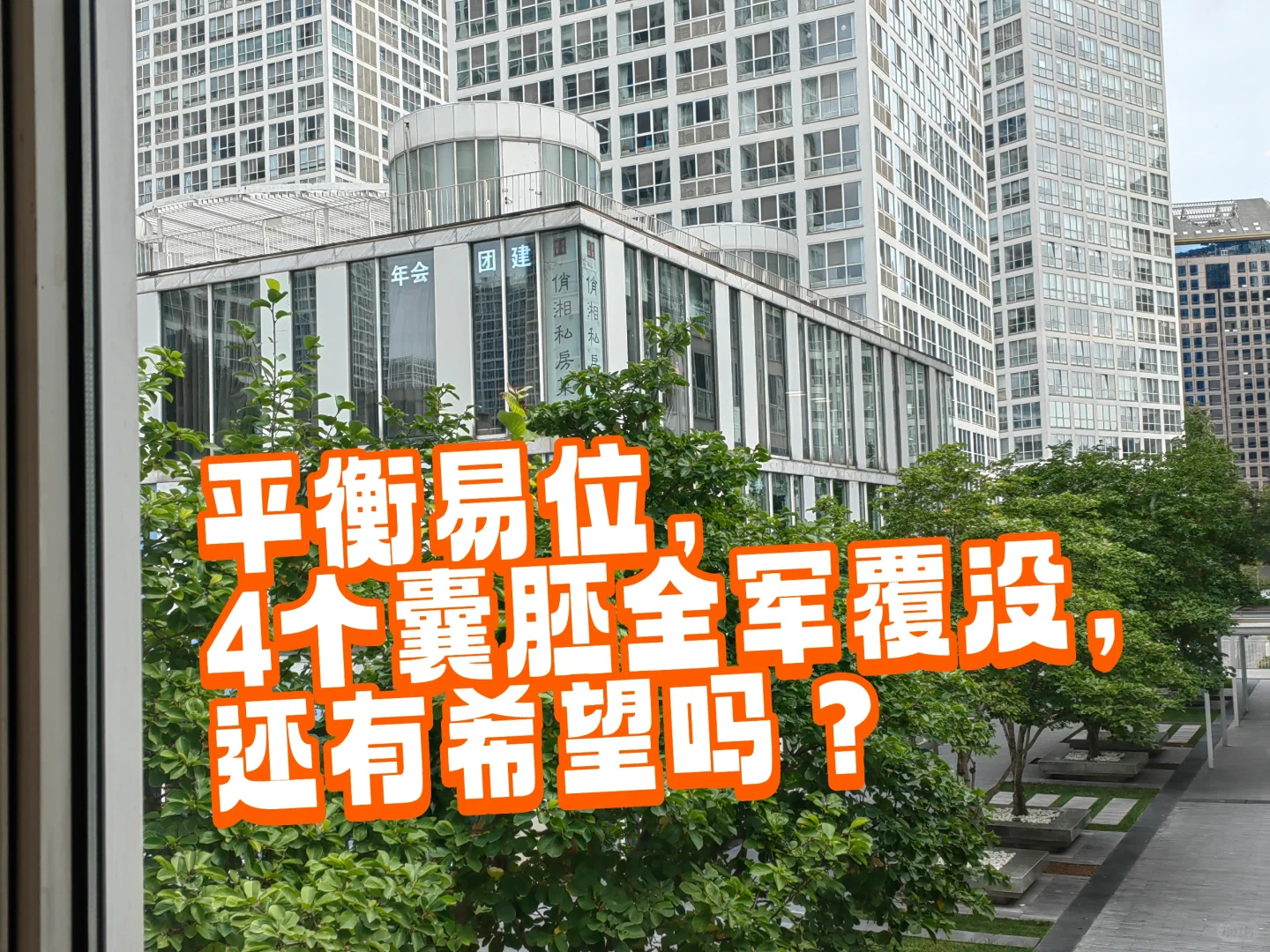 试管婴儿之路：面对全军覆没，希望何在？