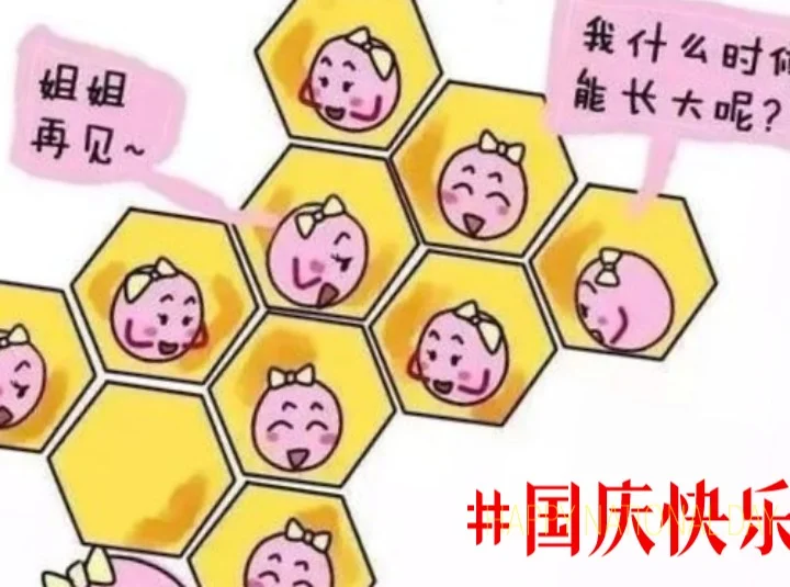 试管周期促排卵方案选择指南与个性化定制